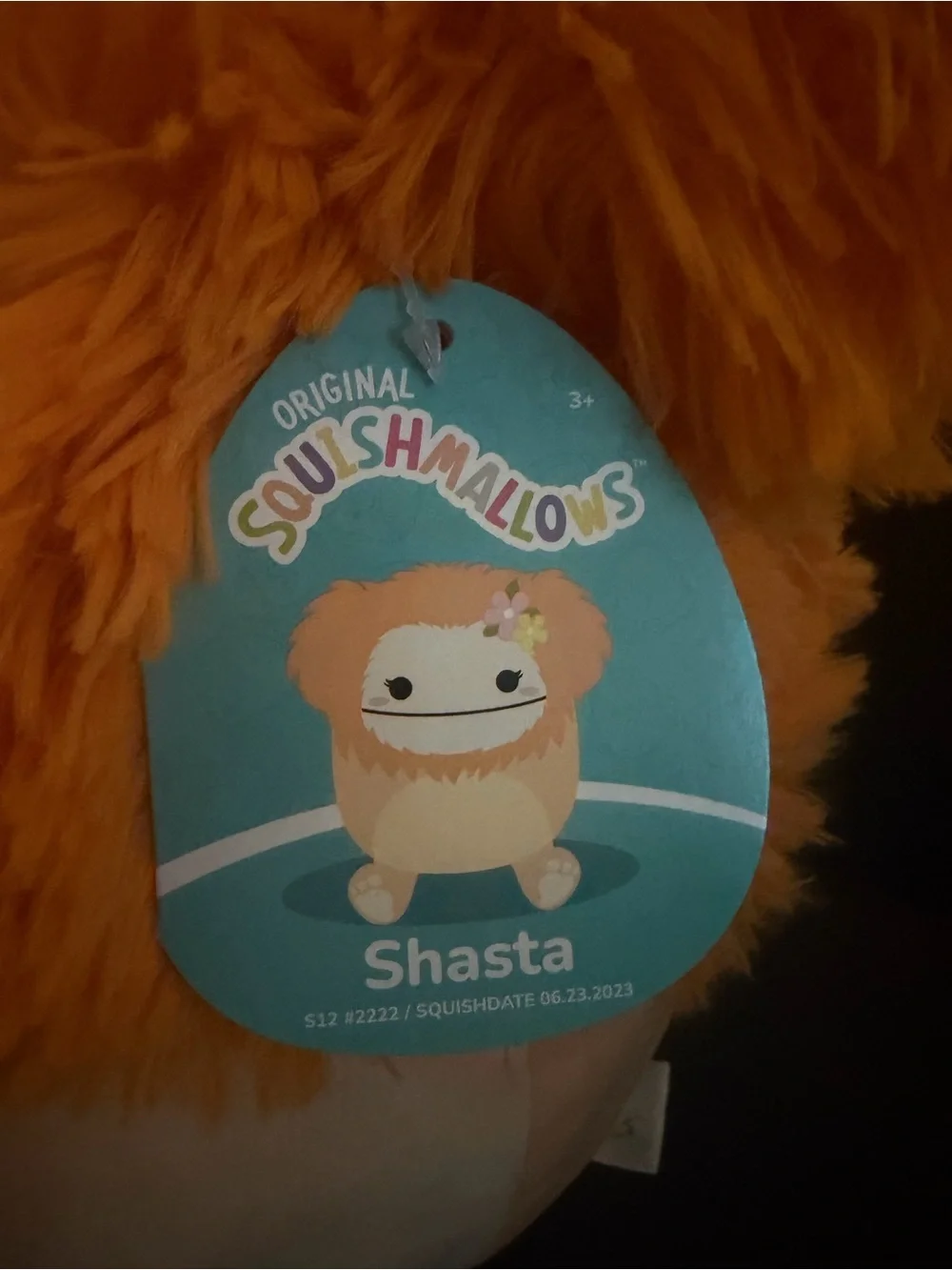 Squishmallows Orange Floral Shasta Plush
